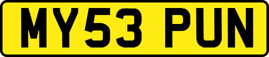 MY53PUN