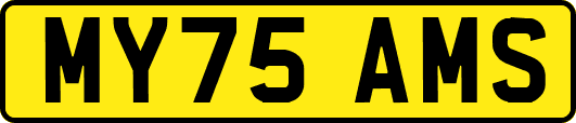 MY75AMS
