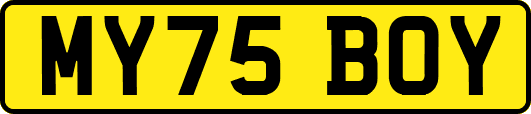 MY75BOY