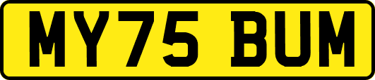MY75BUM
