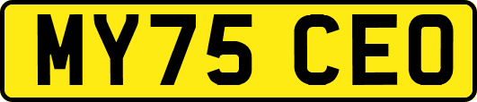 MY75CEO