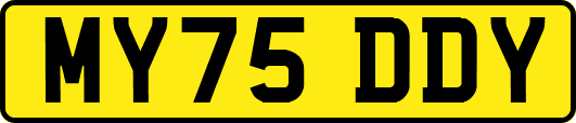 MY75DDY