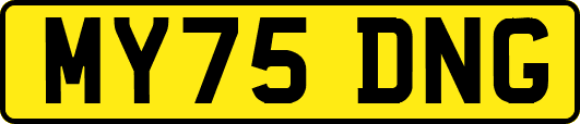 MY75DNG