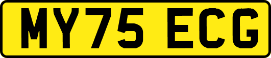 MY75ECG