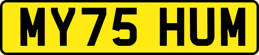MY75HUM