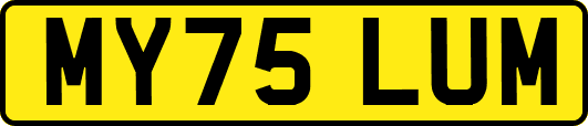 MY75LUM