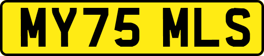 MY75MLS