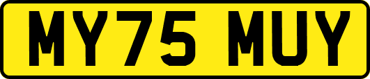 MY75MUY