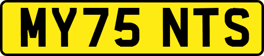 MY75NTS