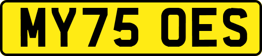 MY75OES