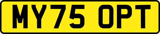 MY75OPT