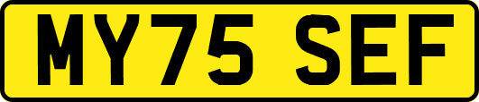 MY75SEF