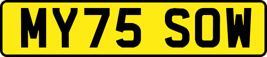 MY75SOW
