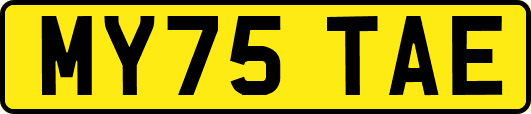 MY75TAE