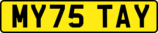 MY75TAY