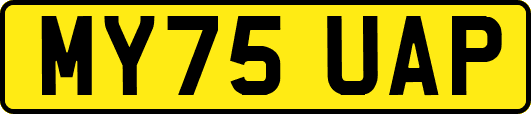 MY75UAP