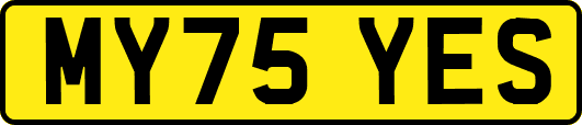 MY75YES