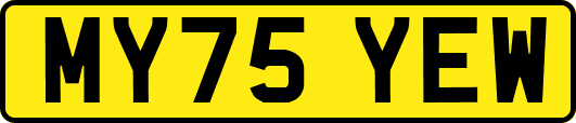 MY75YEW