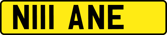 N111ANE