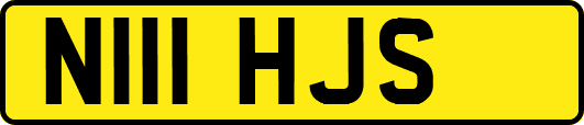 N111HJS