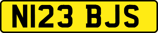N123BJS
