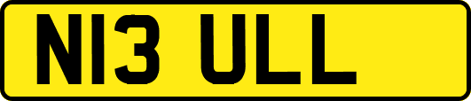 N13ULL