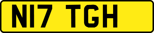 N17TGH