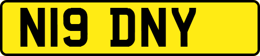 N19DNY