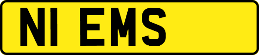 N1EMS