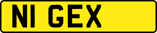 N1GEX