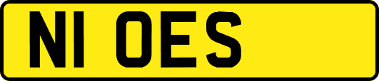 N1OES