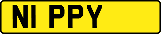 N1PPY