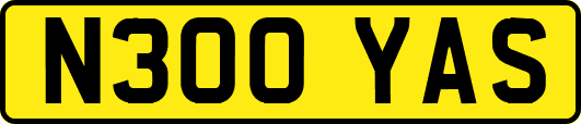 N300YAS