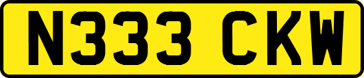 N333CKW