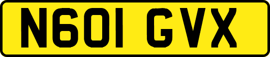 N601GVX