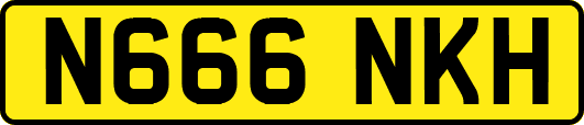 N666NKH