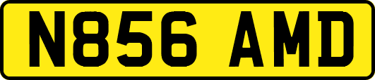 N856AMD