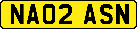 NA02ASN