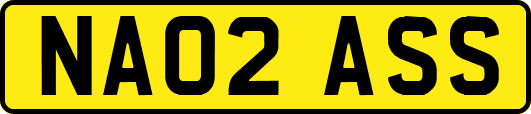 NA02ASS