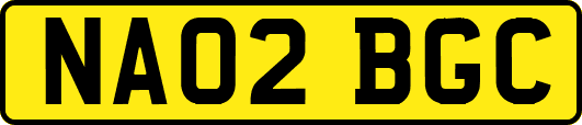 NA02BGC