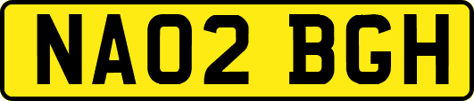 NA02BGH