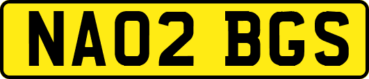 NA02BGS
