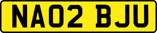 NA02BJU