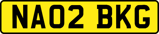 NA02BKG