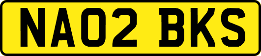 NA02BKS