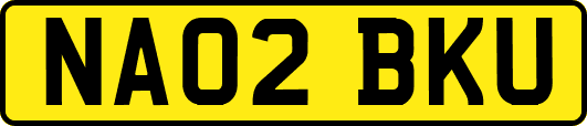NA02BKU