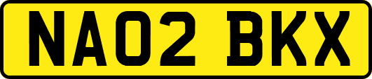 NA02BKX