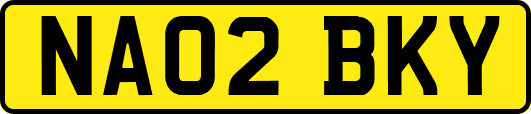 NA02BKY