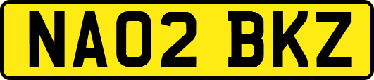 NA02BKZ