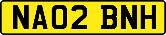 NA02BNH